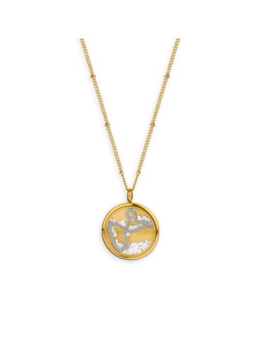 Collier Acier Médaillon...