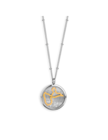 Collier Acier Médaillon...