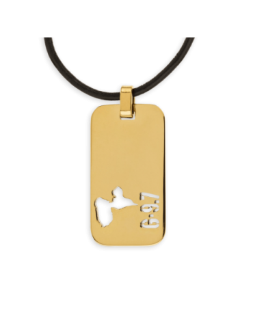 Collier Acier Bicolore...
