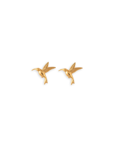 Boucles D'oreilles Puces...