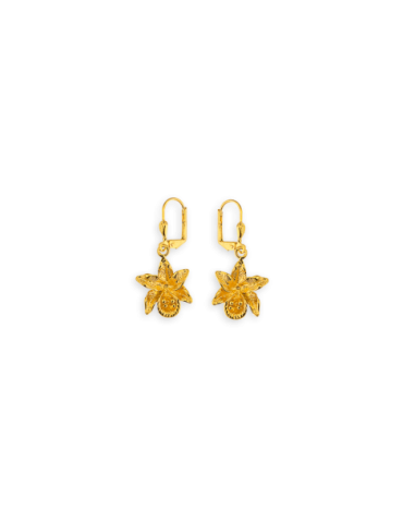 Boucles D'oreilles Pendant...