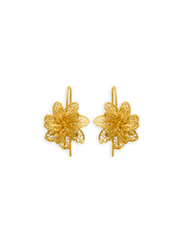 Boucles D'oreilles Pendant...