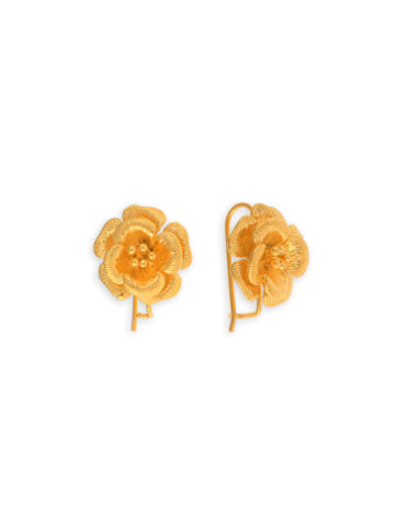 Boucles D'oreilles Pendant...