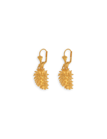 Boucles D'oreilles Pendant...