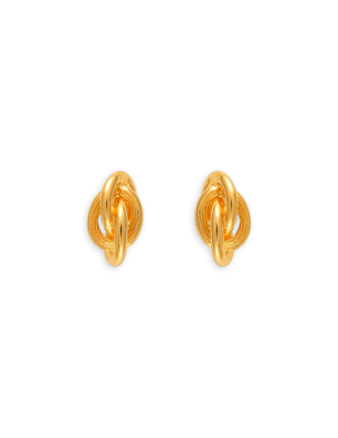 Boucles D'oreilles Puces...