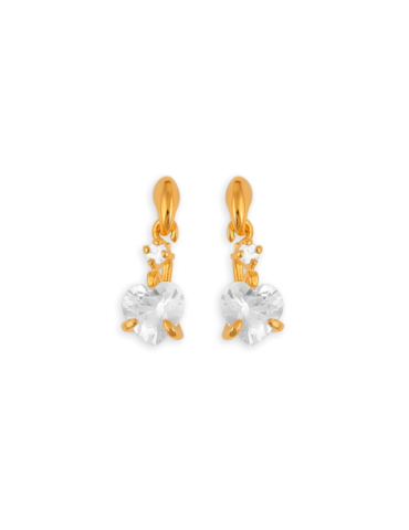Boucles D'oreilles Pendant...