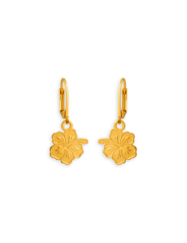 Boucles D'oreilles Pendant...