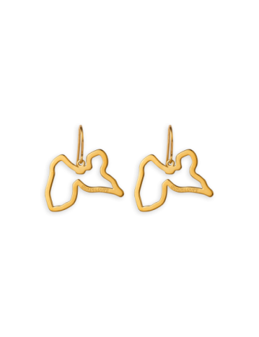 Boucles D'oreilles Pendant...