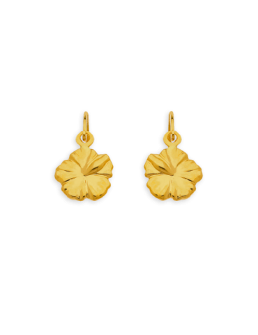 Boucles d'oreilles Or 9...