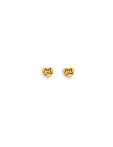 Boucles d'oreilles Or 9...