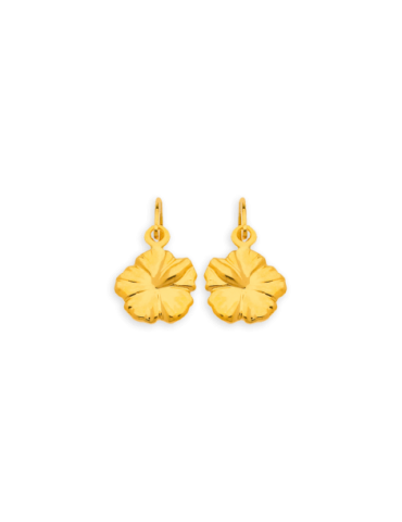 Boucles D'oreilles Or 18...