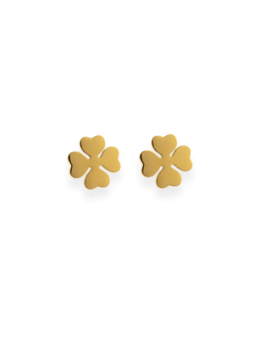 Boucles d'oreilles Acier 4...
