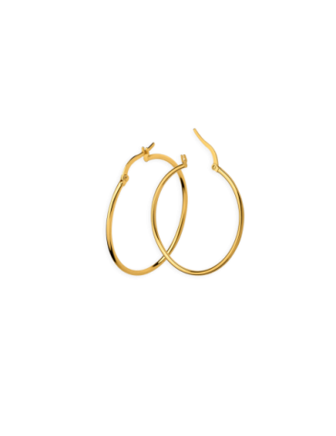 Creoles Or 18 Carats Tube...