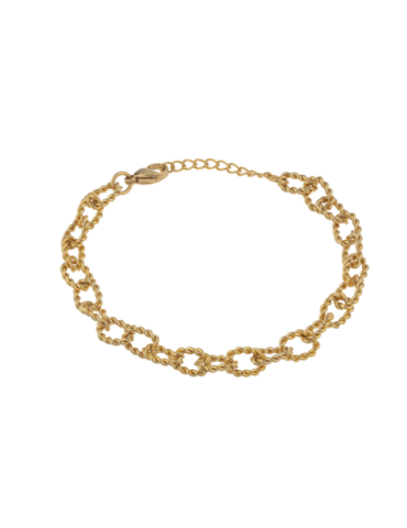 Bracelet Acier Jaune Maille...