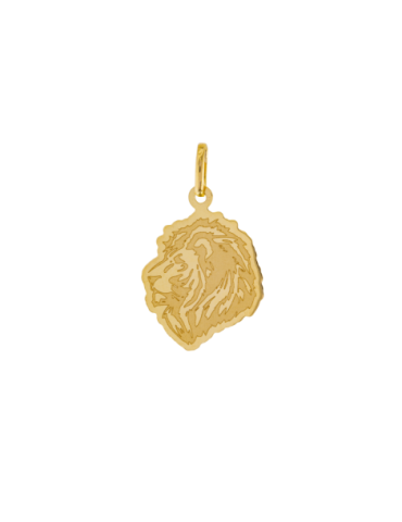 Pendentif Or 18 Carats Tete...