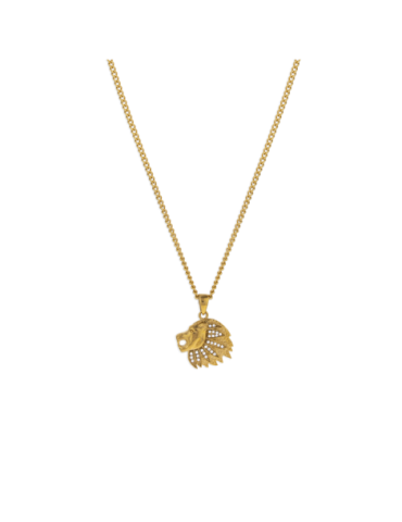 Collier Acier Tete De Lion...