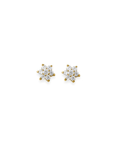 Boucles d'Oreilles Puce Or...