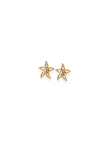 Boucles d'Oreilles...