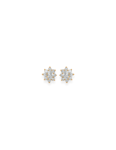 Boucles d'Oreilles Fleur...