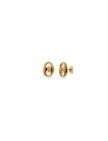 Boucles d'Oreilles Plaqué...